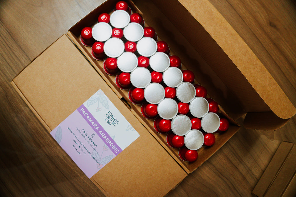 Pacamara Anaerobic - Auromar - Specialty Coffee Pods