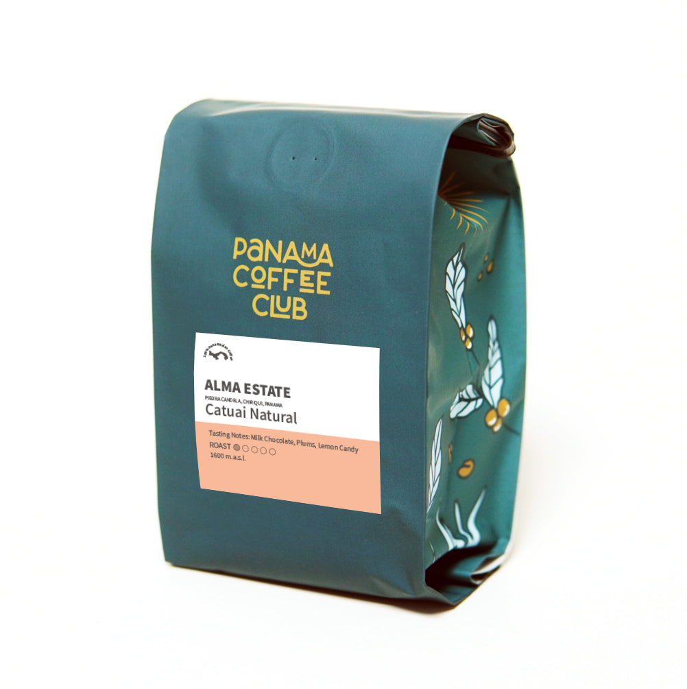 Catuai Natural - Alma Estate